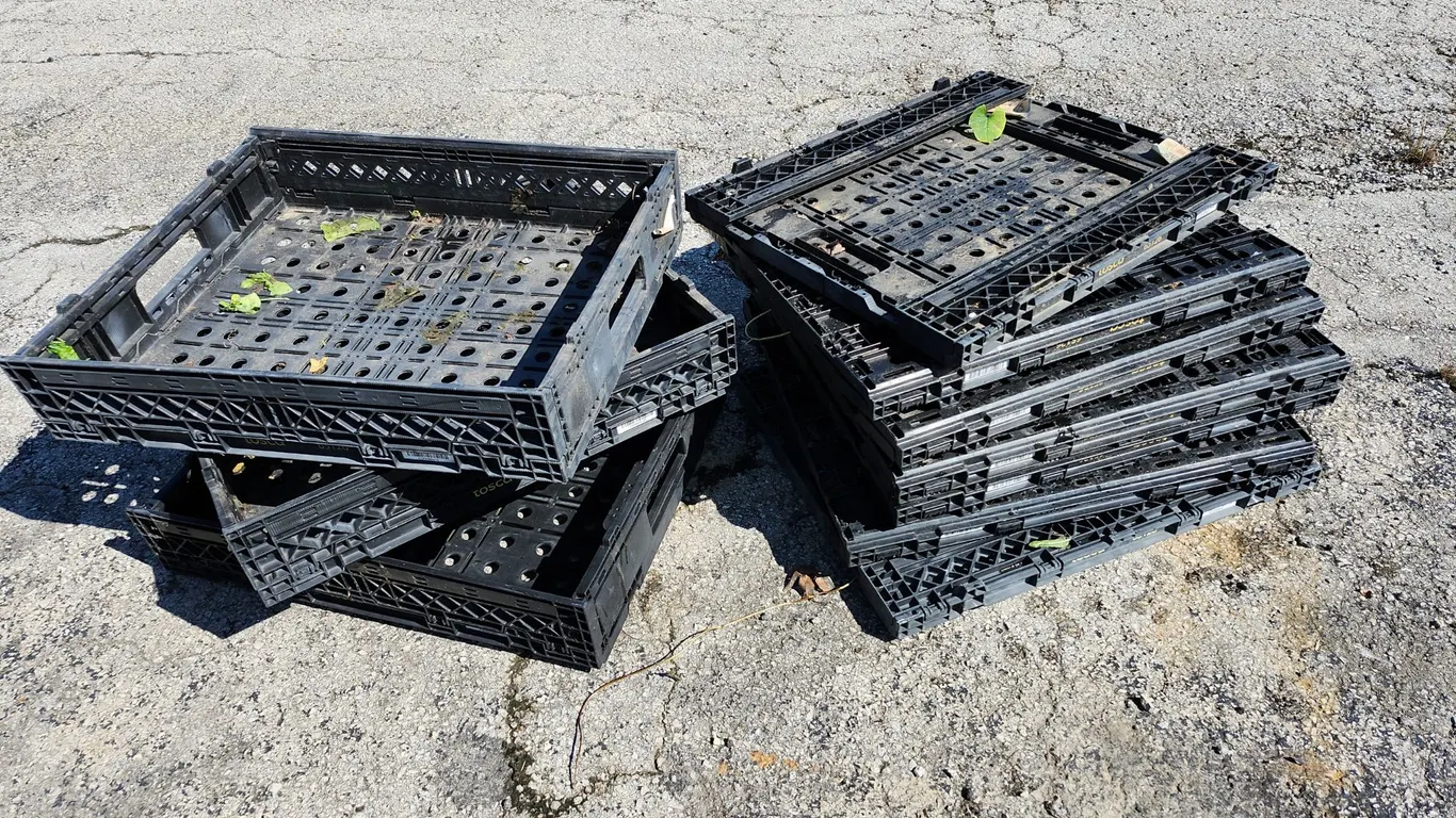 11 Ct. Tosca Collapsible Flat Crates 24"X20"X5"