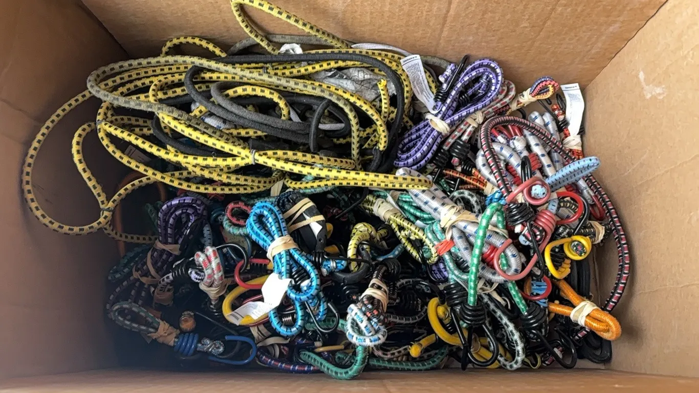Bungee straps