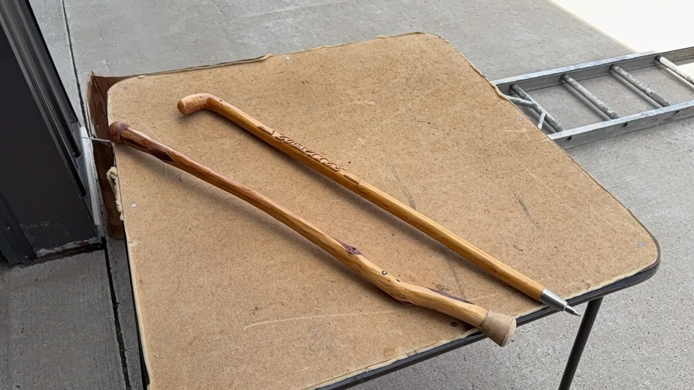 2- Walking Sticks