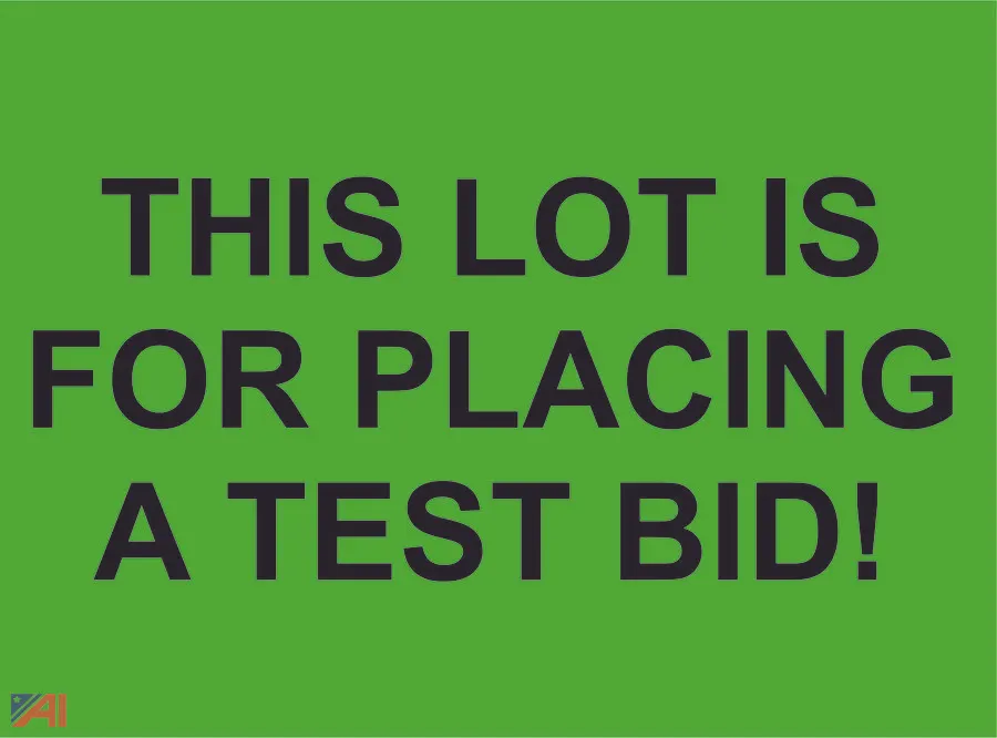 Test Bidding Here