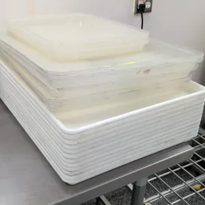 Poly bakery trays. Includes clear plastic covers. 17" x 25". Table not included.