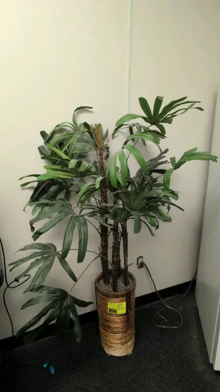 Artificial potted palm plant. Features realistic fronds and textured wrapped trunks. Potted in a tall woven wicker basket planter with top stone dress