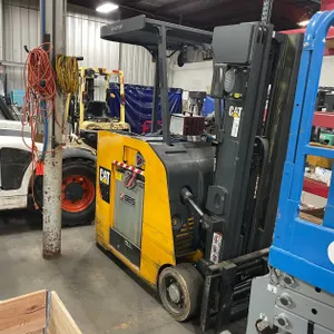 Cat Stand On Electric forklift (Wall G)