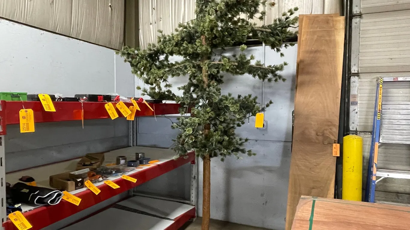 Upside-Down Christmas Tree (B)