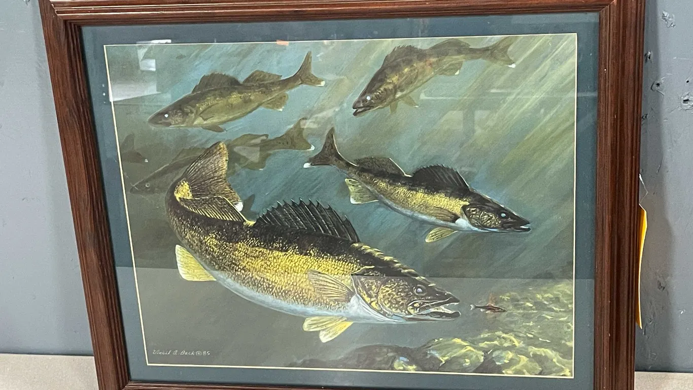 Vintage School Of Walleyes Framed Print By Virgil Beck (T4)