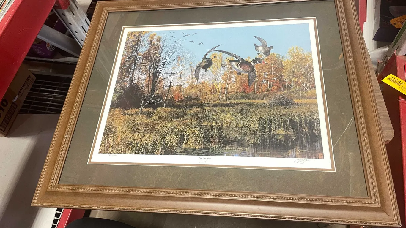 Backwater Framed Print By Scot Storm Signed And Numbered Sponsored By Ducks Unlimited (T4)