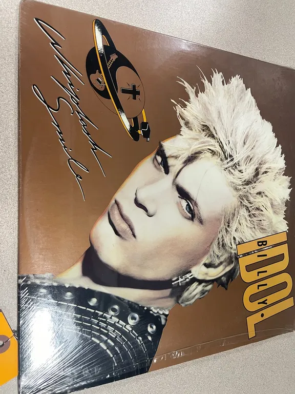 Billy Idol Vinyl (T3)