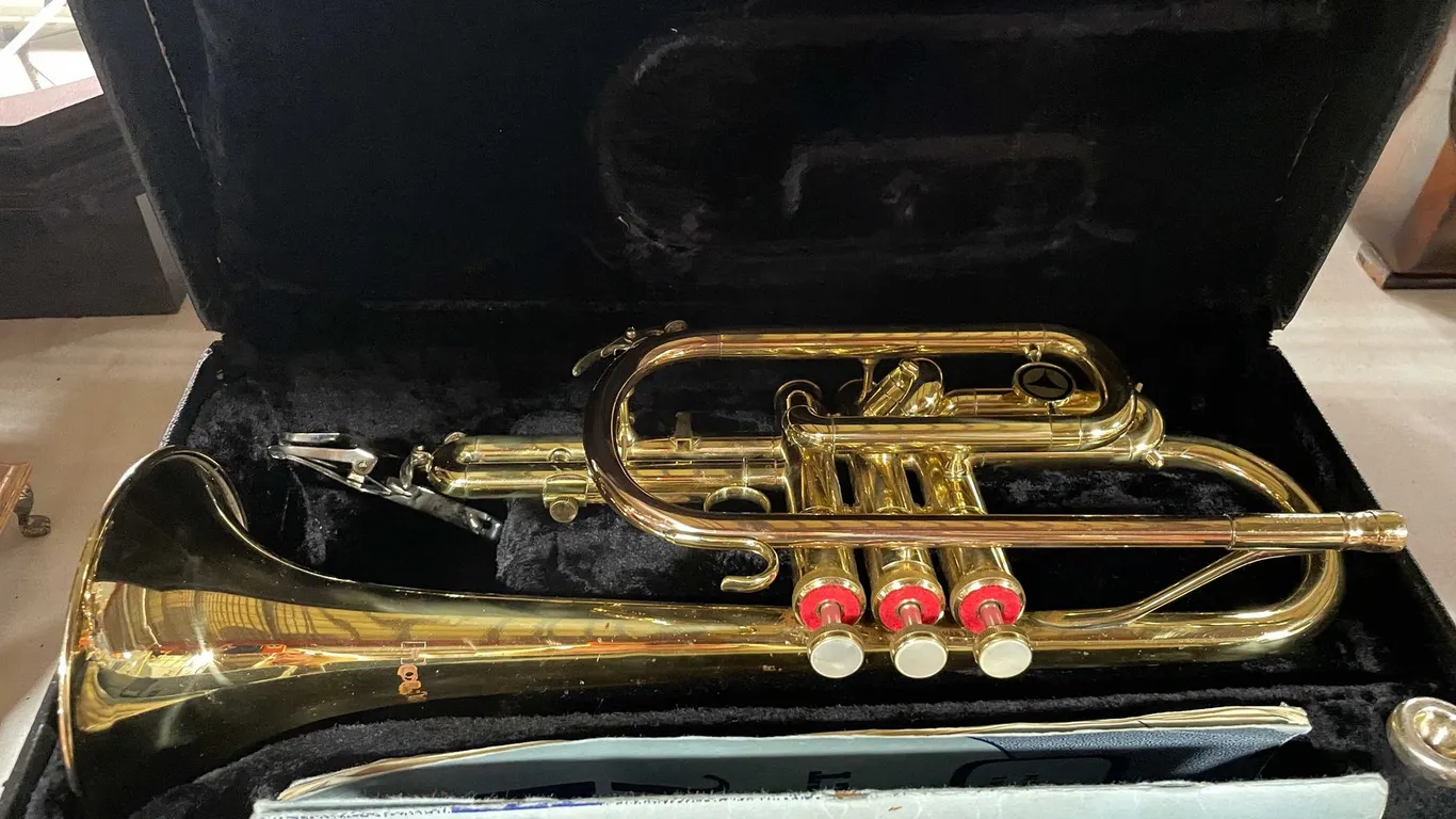 Horn Instrument with Case
