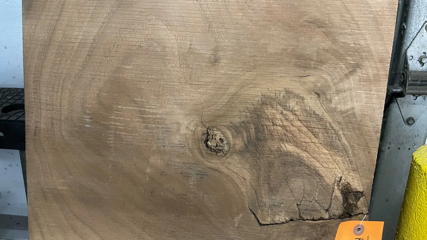(2) Walnut Slabs (O3)