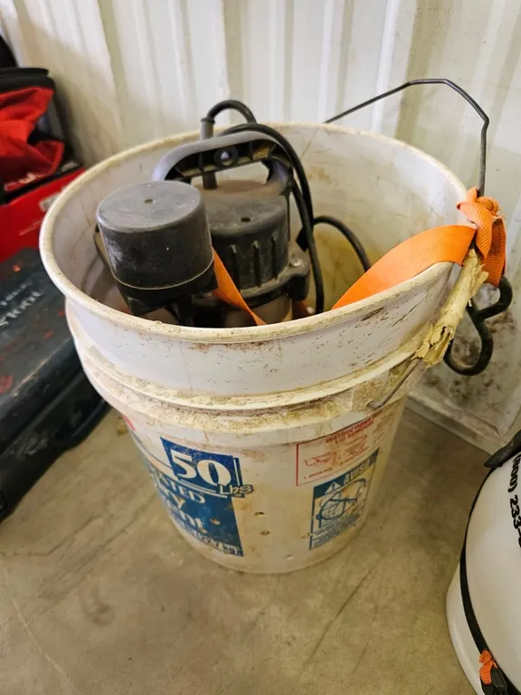 Coleman Sump Pump, #14942611