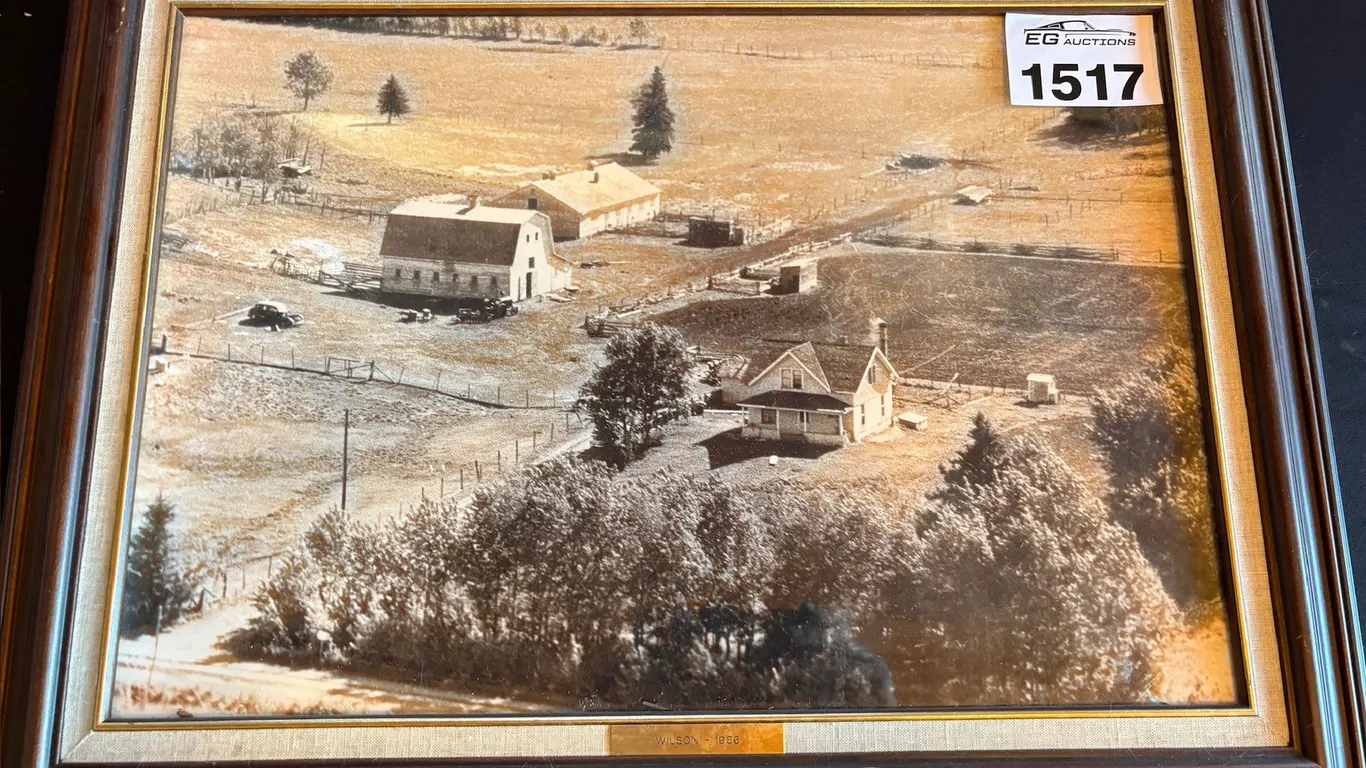 Lot 1517