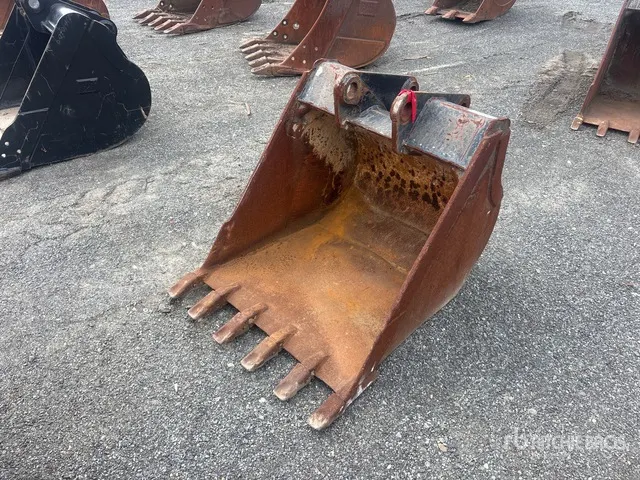 Cat 5 in Digging Excavator Bucket