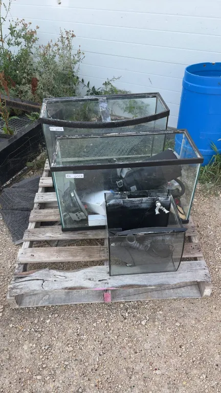 Aquarium Lot: 3 Glass Aquariums, 1 Curved Front Aquarium, Filters