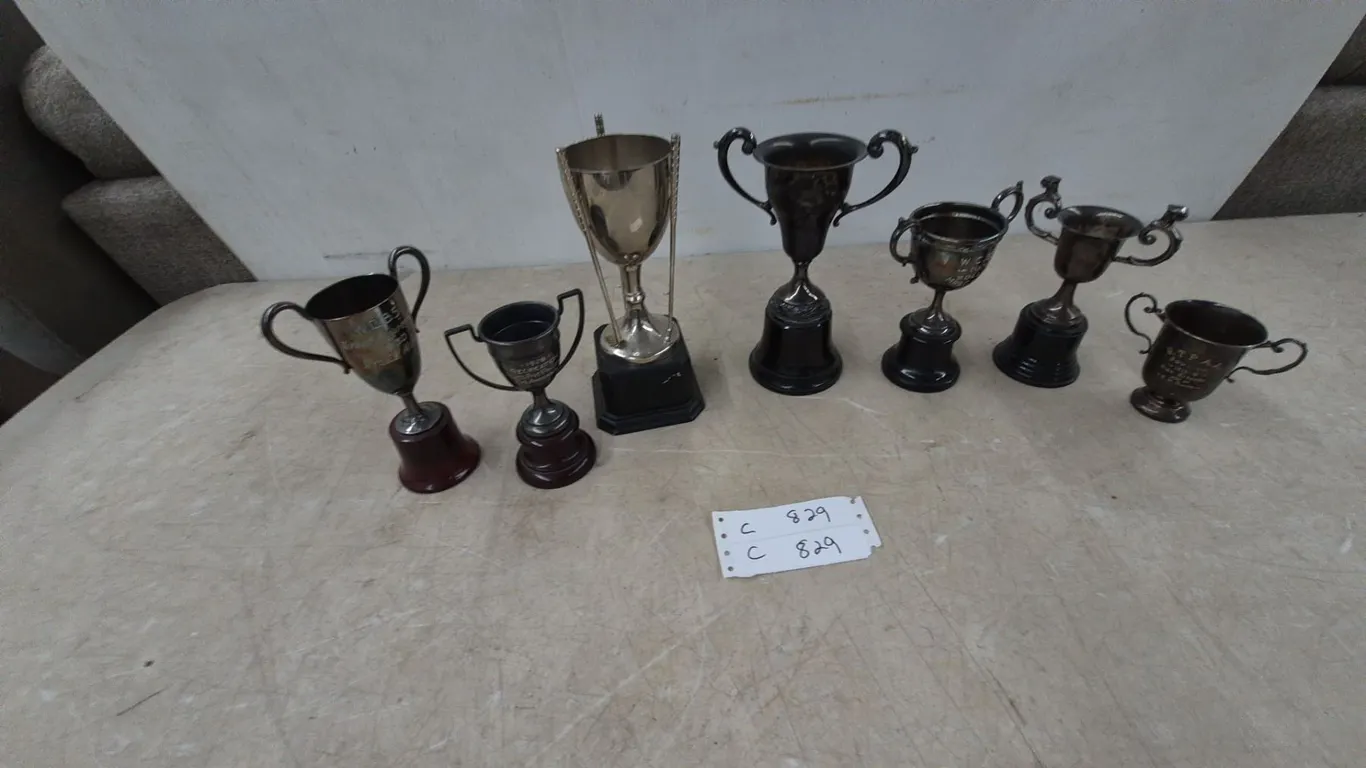 Collection of 7 Silver-Tone Trophies, Some Engraved, on Wood and Black Bases