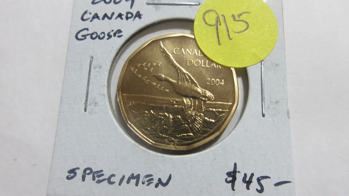 2004 Special Edition Canada Goose Loonie Dollar. Only available in the Specimen set. SP66.