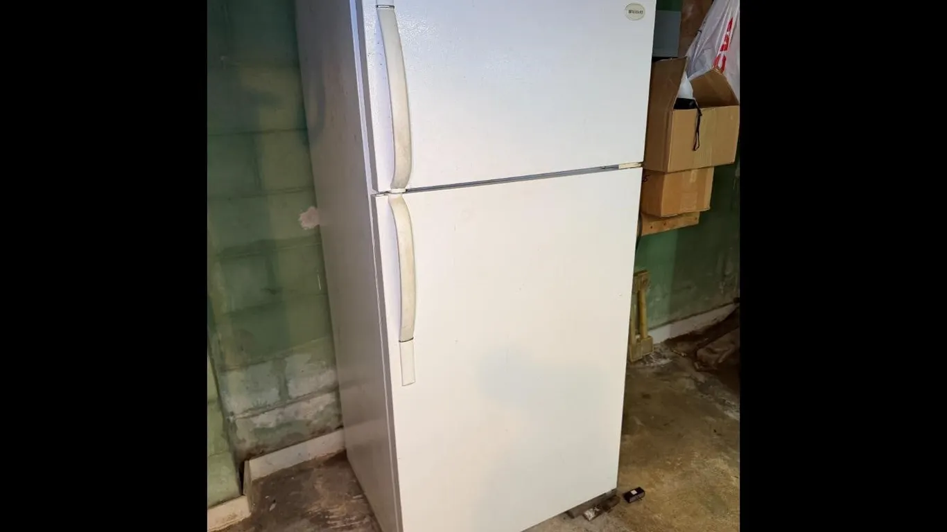 Frigidaire FRT21NSG White Top Freezer Refrigerator