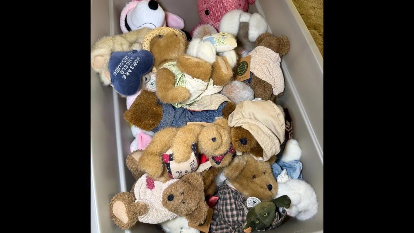 Plush Stuffed Animals Lot Teddy Bears