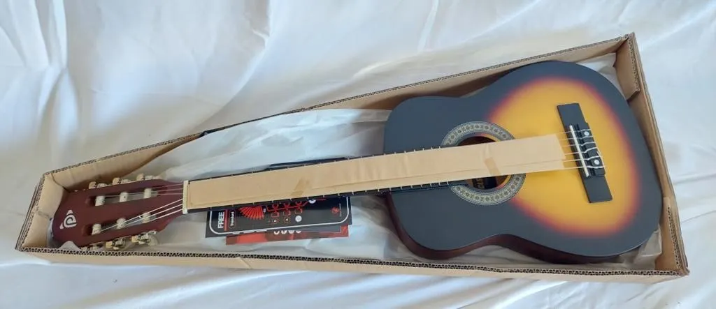 Pyle 30 Beginner Guitar Kit in box