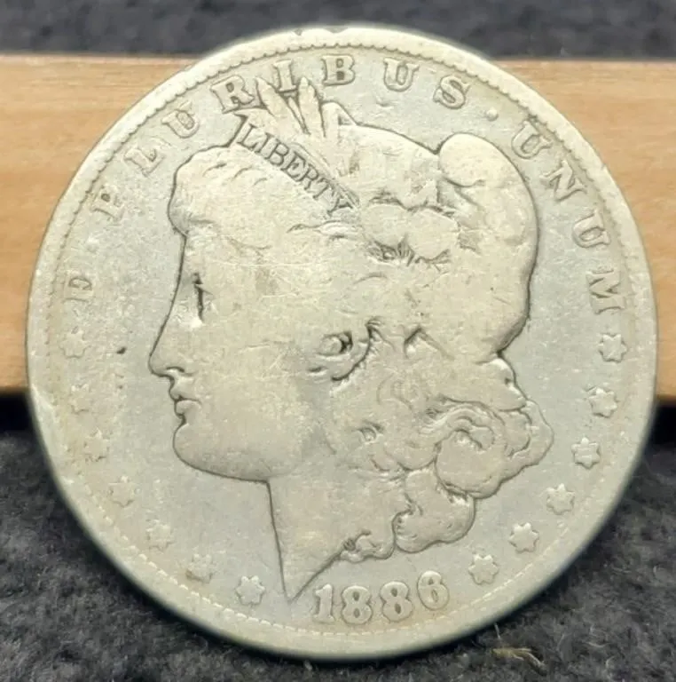 1886 Morgan Dollar G