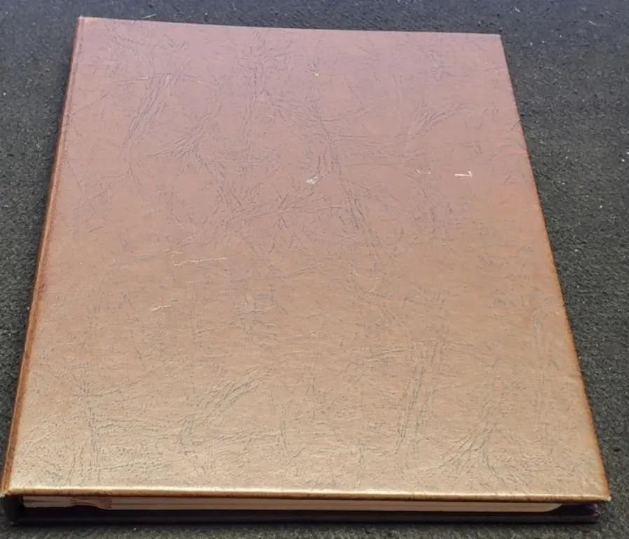 Like New 3 Page Dansco Album For