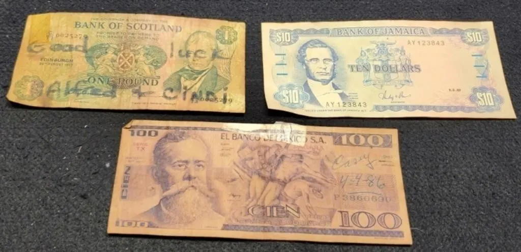 (3) Foreign Banknotes: