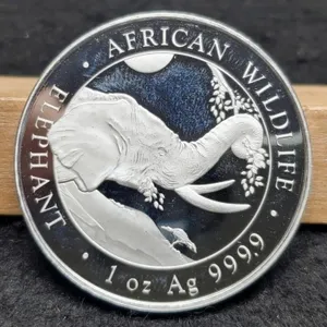 1 Troy Oz. Silver 2023 Somali 100 Shillings