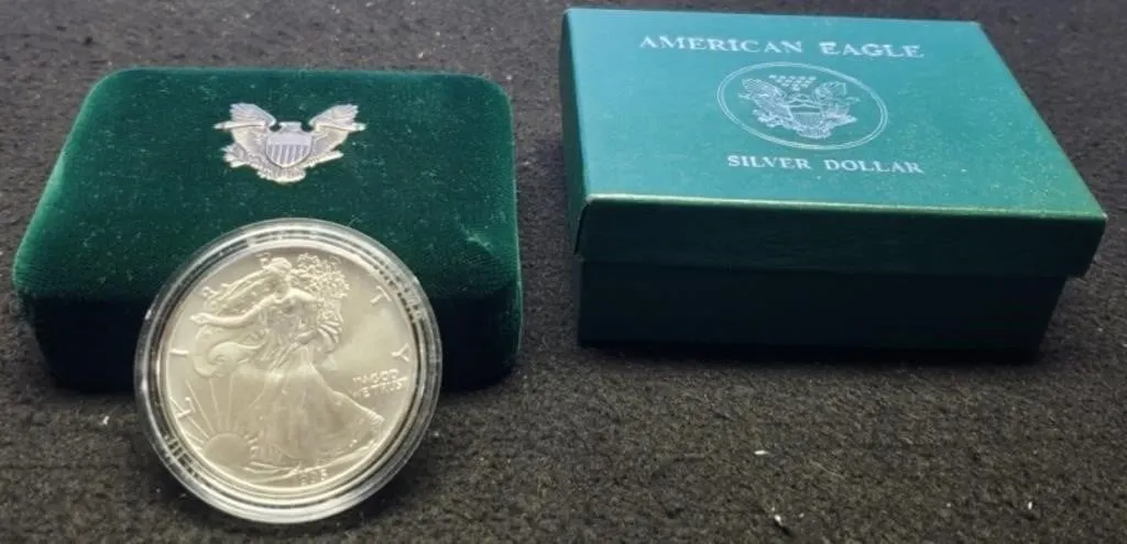 1995 Silver Eagle In Capsule & Mint Case