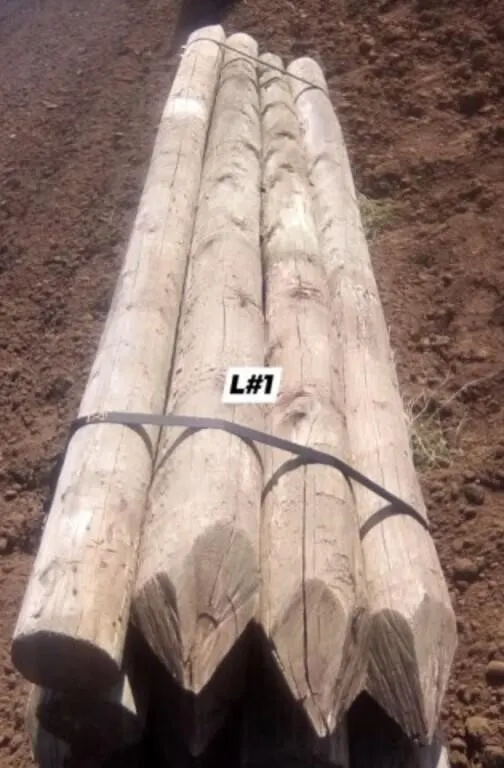 OFFSITE 6-7"x10' USED Fence Posts /EACH POST