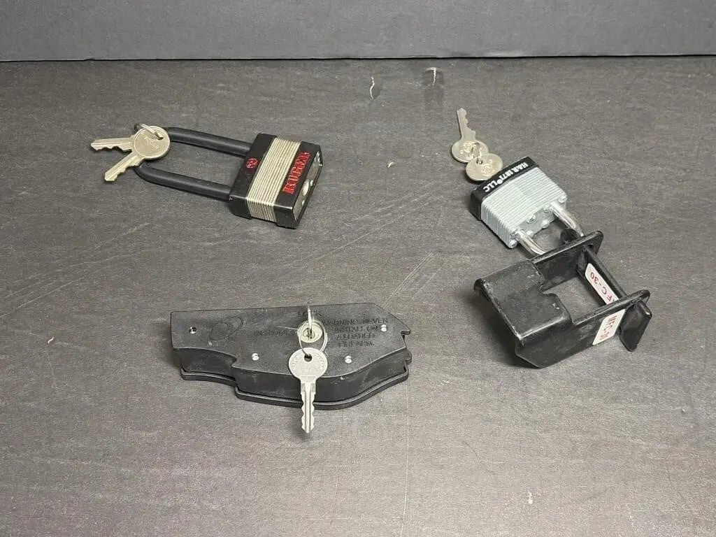 Gun Lock and Locks