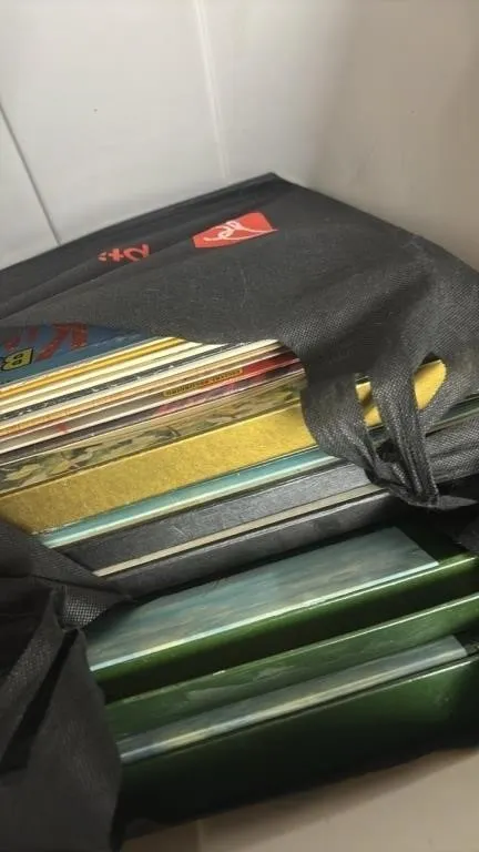 2 bags of Vinyl LP records