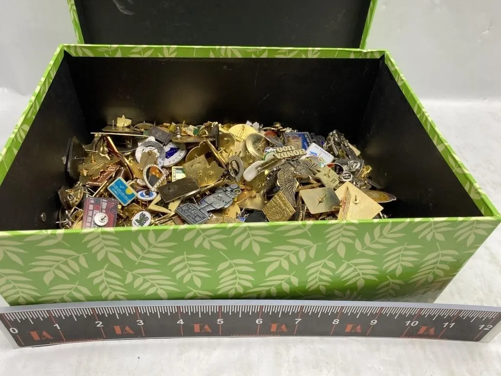 Large Lot of Souvenir & Travel Lapel Pins