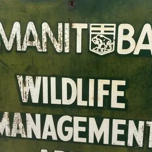 Vintage Manitoba Wildlife Management Area Sign