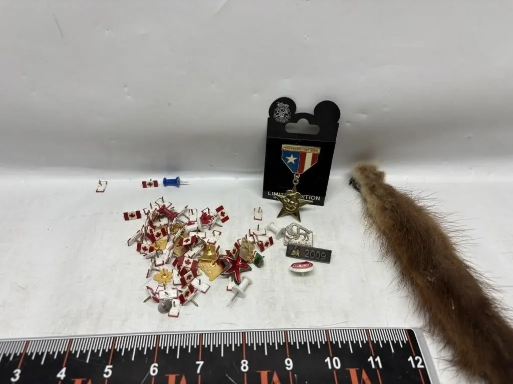 Pins, Fur Tail & Disney Veterans Day Pin Lot