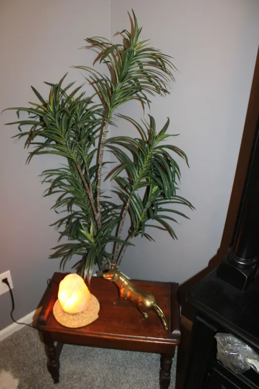 Table, Décor & Plant
