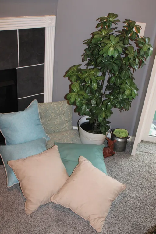 Pillows, Plants & Décor