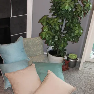 Pillows, Plants & Décor