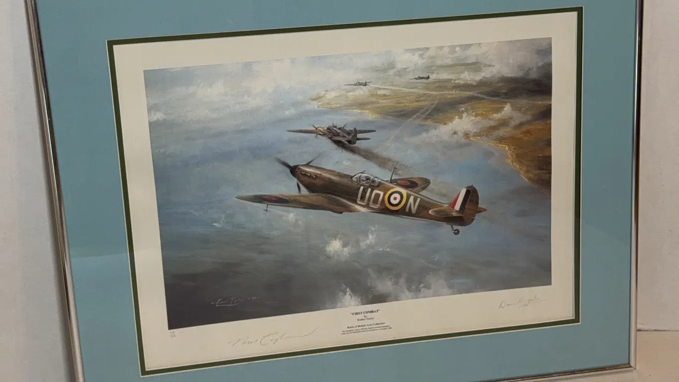 Robert Taylor “First Combat” Signed Limited Edition Aviation Print 156/990 – Don Kingaby