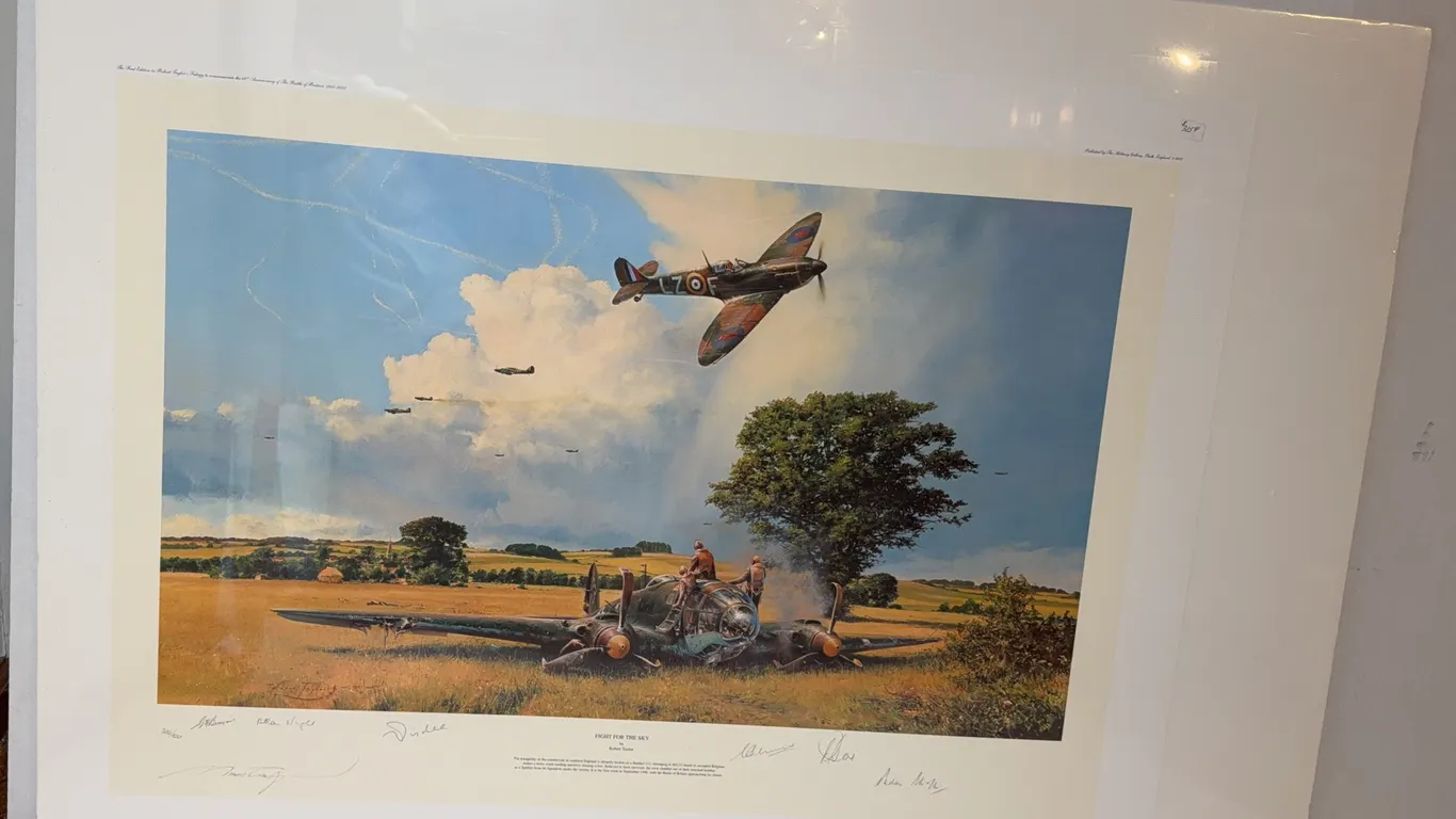 Robert Taylor “Fight for the Sky” Signed Battle of Britain Aviation Print 304/500 & COA
