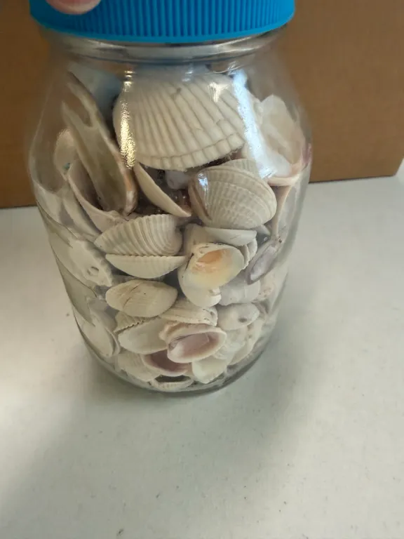 Jar of older Shells