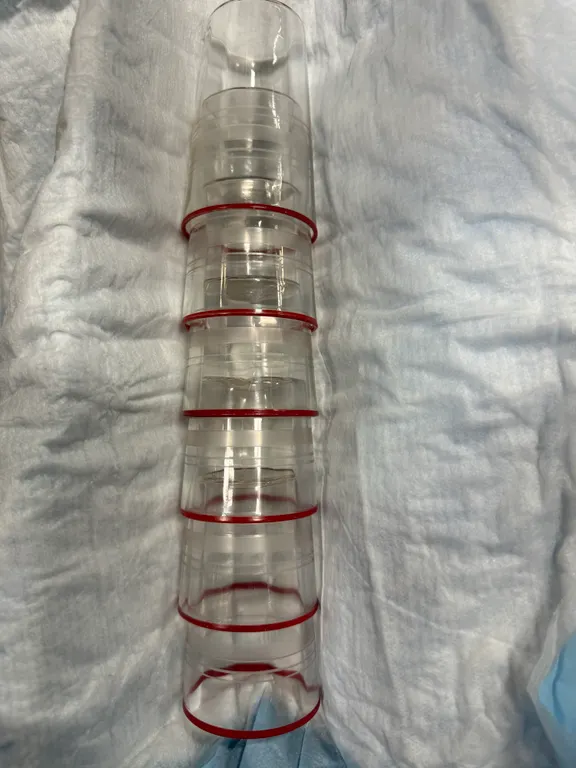 Lot of 6 Vintage Red Rimmed Ringed Clear Juice Glasses