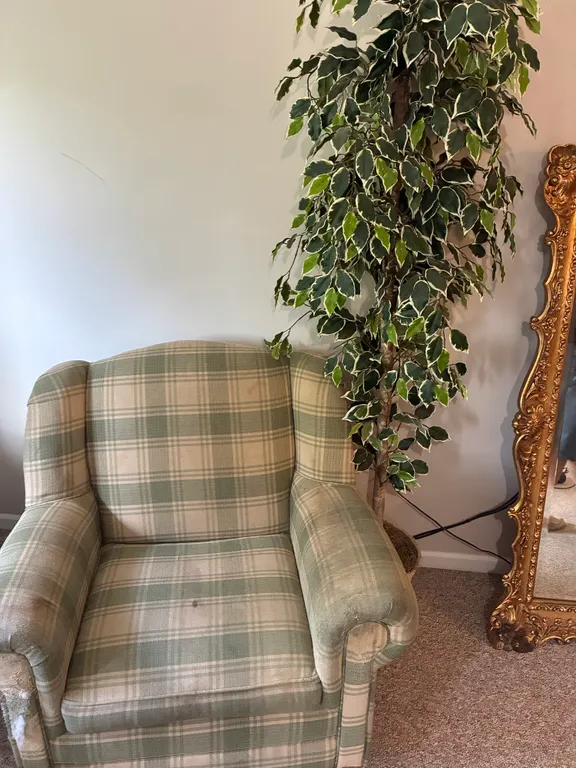 Rocking Chair and Artificial Tree