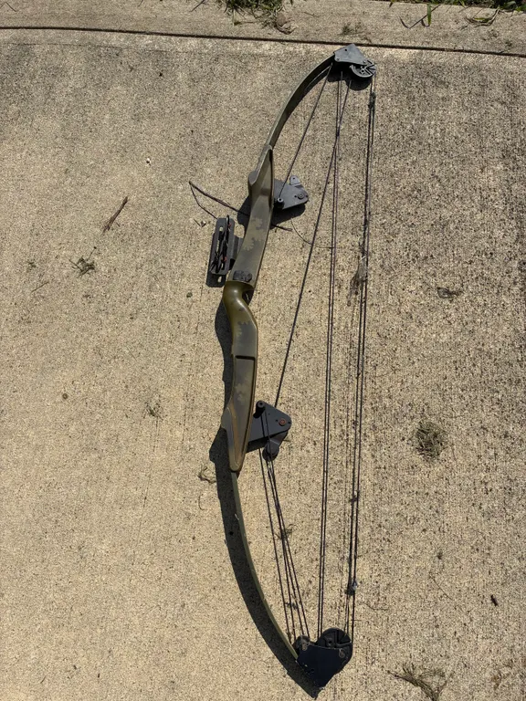 Compound Bow