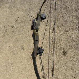 Compound Bow