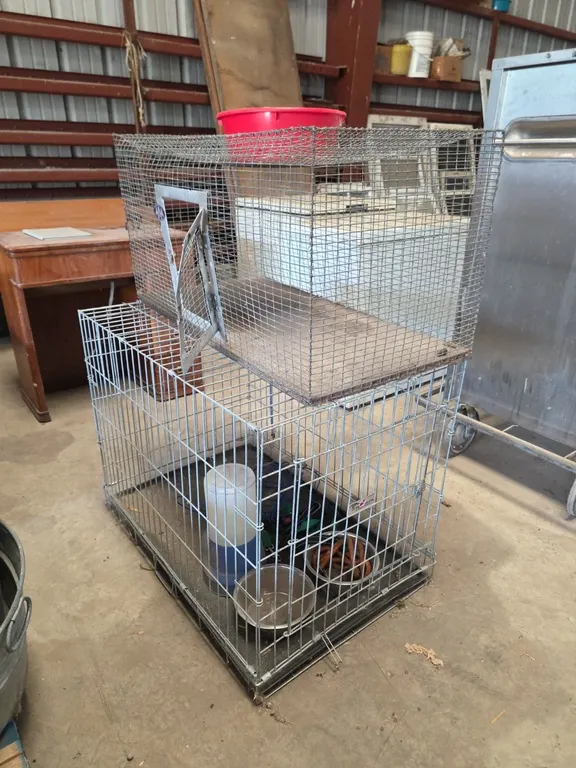 Pet carriers, cages, pet supplies and water's