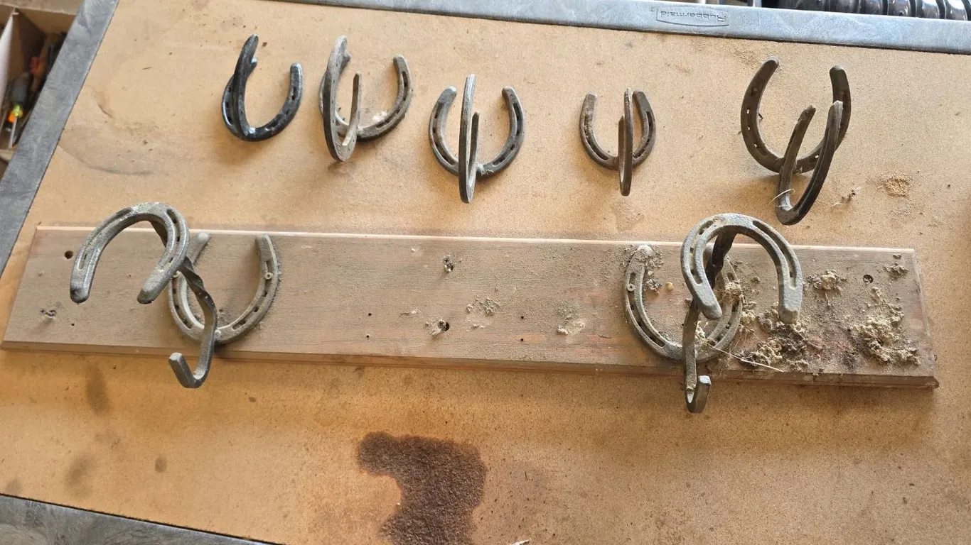 Ornamental horseshoe decor