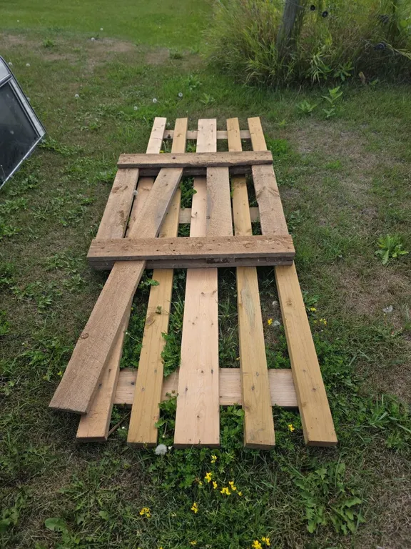 Wood fencing and sheep head gate