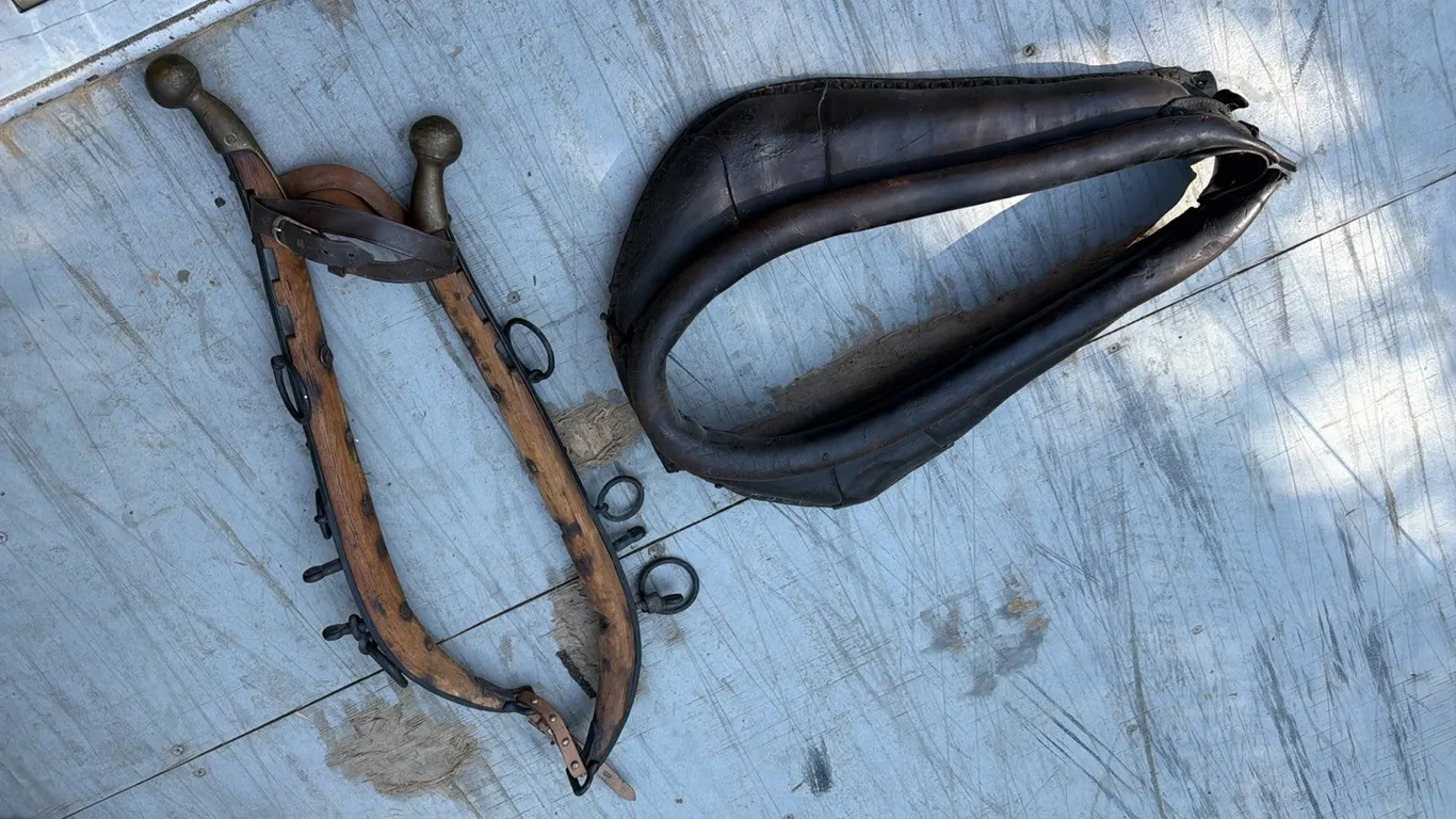 Hames, Collar, been reconditioned, nice shape