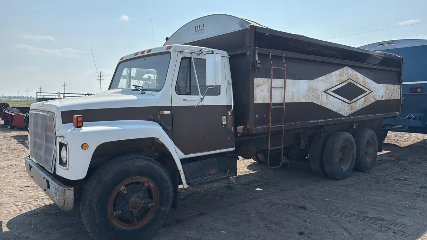 ID 1022 1981 International Grain Truck