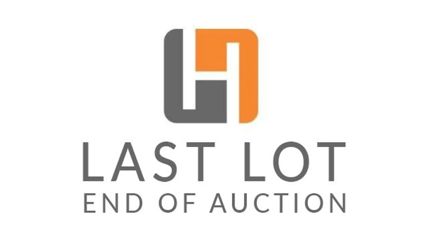 This is the Last Lot of the Auction!
