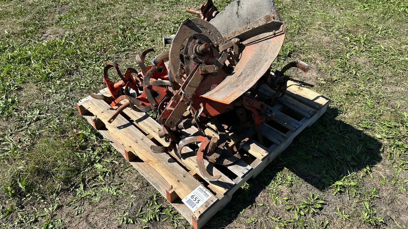 Lot 655